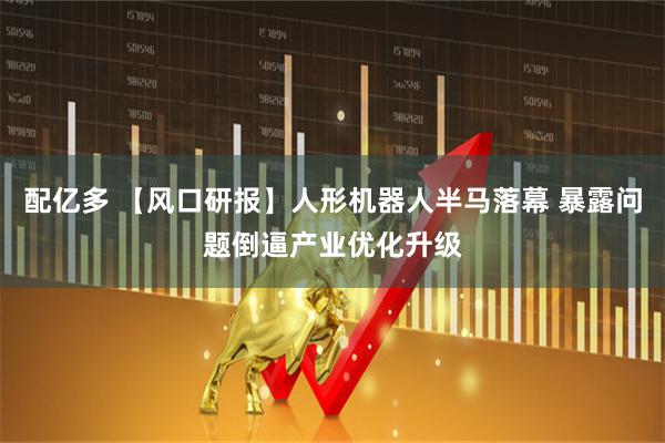 配亿多 【风口研报】人形机器人半马落幕 暴露问题倒逼产业优化升级