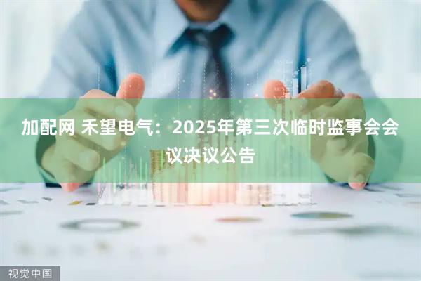 加配网 禾望电气：2025年第三次临时监事会会议决议公告