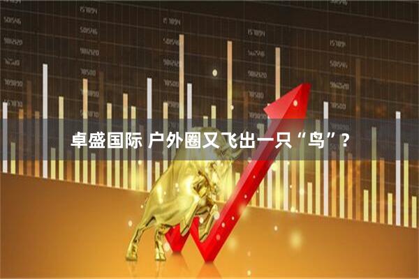 卓盛国际 户外圈又飞出一只“鸟”？