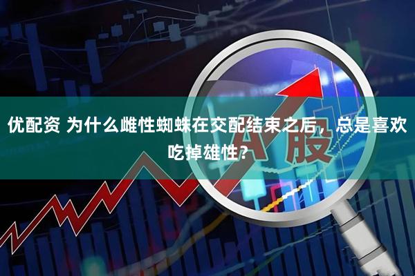 优配资 为什么雌性蜘蛛在交配结束之后，总是喜欢吃掉雄性？