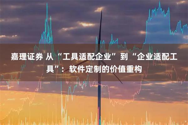 嘉理证券 从 “工具适配企业” 到 “企业适配工具”：软件定制的价值重构