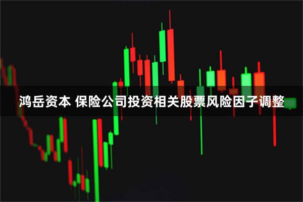鸿岳资本 保险公司投资相关股票风险因子调整