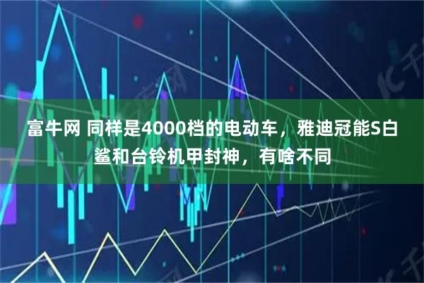 富牛网 同样是4000档的电动车，雅迪冠能S白鲨和台铃机甲封神，有啥不同