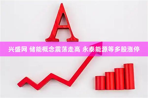 兴盛网 储能概念震荡走高 永泰能源等多股涨停